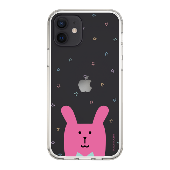 スリムプロテクションケース［ CRAFTHOLIC - Face - RAB ］