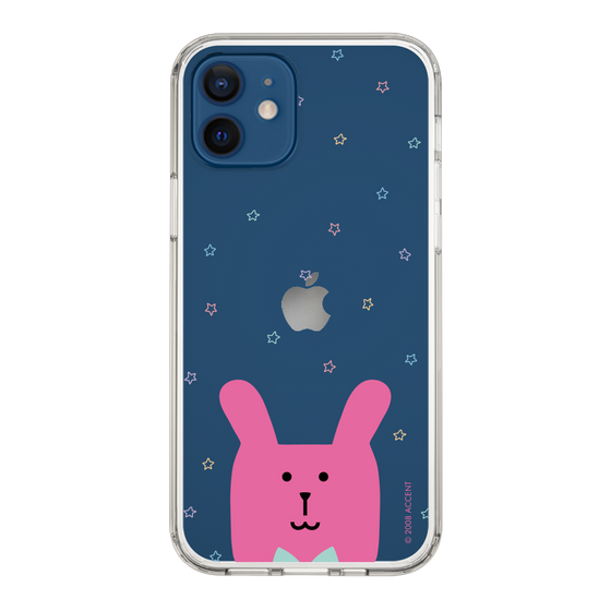 スリムプロテクションケース［ CRAFTHOLIC - Face - RAB ］
