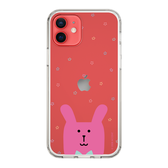 スリムプロテクションケース［ CRAFTHOLIC - Face - RAB ］