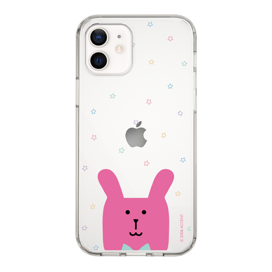スリムプロテクションケース［ CRAFTHOLIC - Face - RAB ］