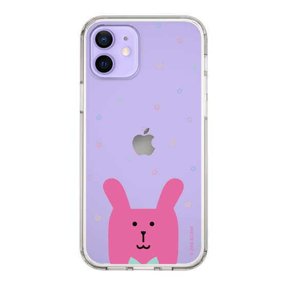 スリムプロテクションケース［ CRAFTHOLIC - Face - RAB ］