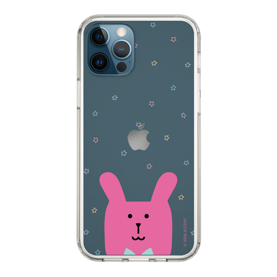 スリムプロテクションケース［ CRAFTHOLIC - Face - RAB ］