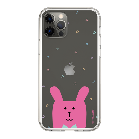 スリムプロテクションケース［ CRAFTHOLIC - Face - RAB ］