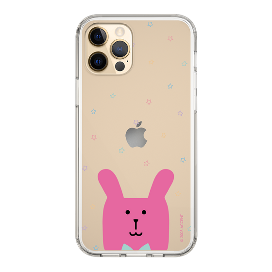 スリムプロテクションケース［ CRAFTHOLIC - Face - RAB ］