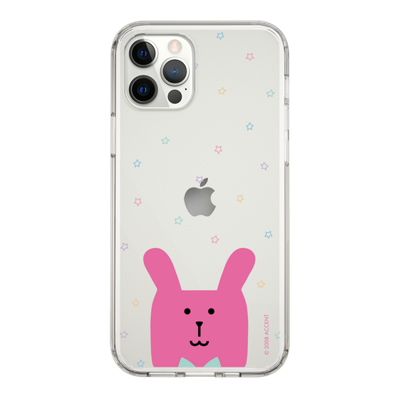スリムプロテクションケース［ CRAFTHOLIC - Face - RAB ］