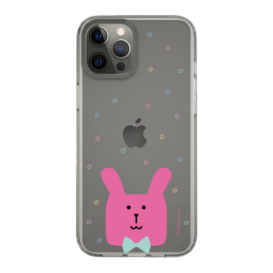 スリムプロテクションケース［ CRAFTHOLIC - Face - RAB ］