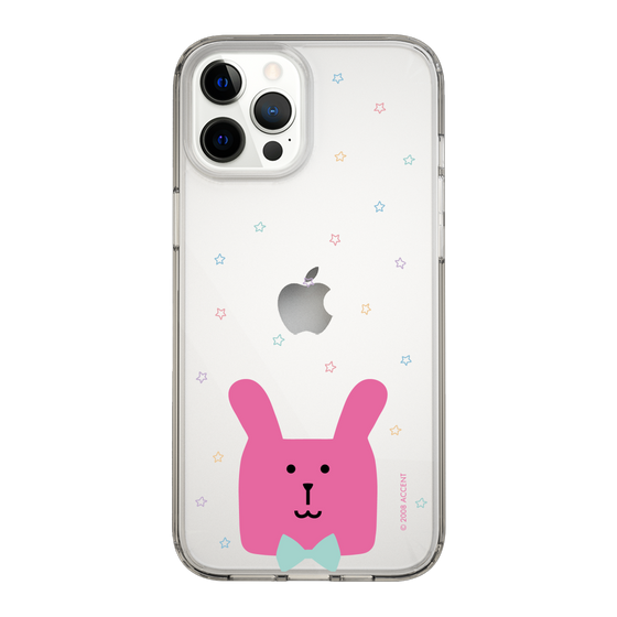 スリムプロテクションケース［ CRAFTHOLIC - Face - RAB ］