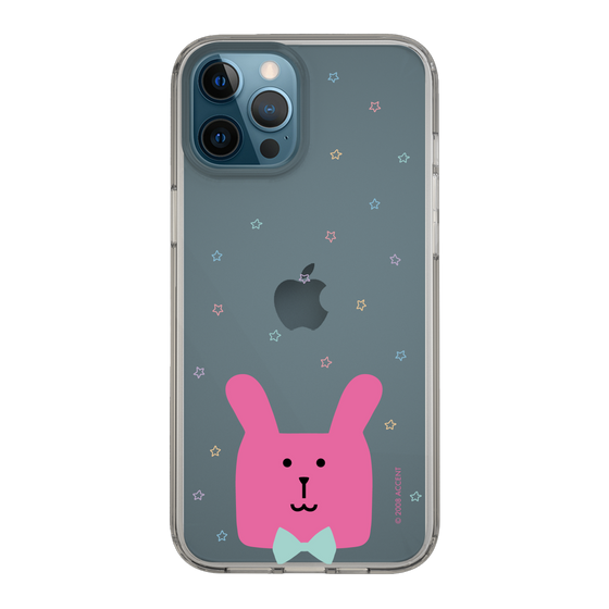 スリムプロテクションケース［ CRAFTHOLIC - Face - RAB ］
