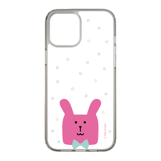 スリムプロテクションケース［ CRAFTHOLIC - Face - RAB ］