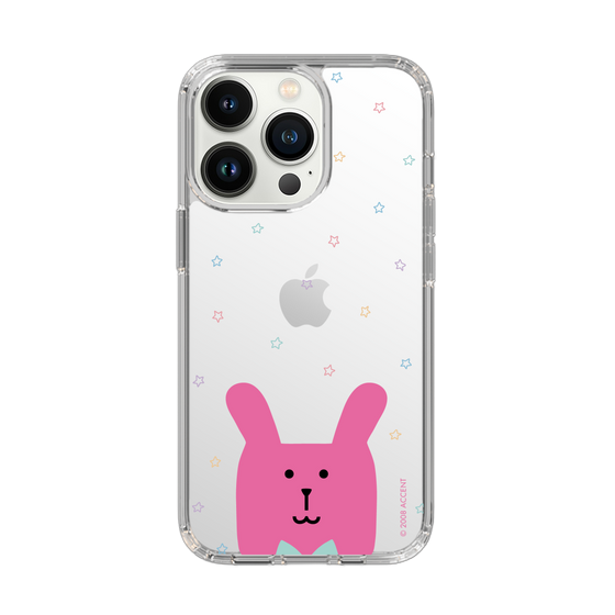 スリムプロテクションケース［ CRAFTHOLIC - Face - RAB ］