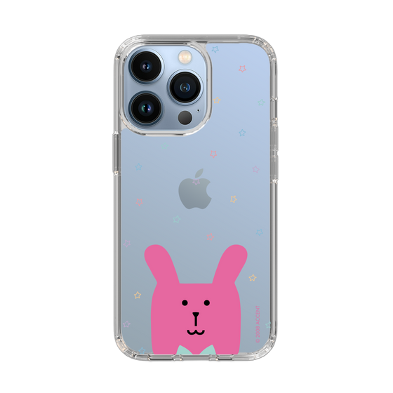 スリムプロテクションケース［ CRAFTHOLIC - Face - RAB ］