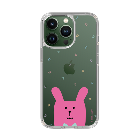 スリムプロテクションケース［ CRAFTHOLIC - Face - RAB ］