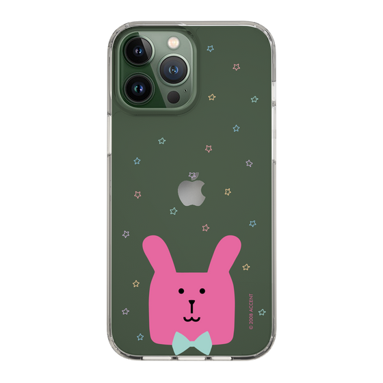 スリムプロテクションケース［ CRAFTHOLIC - Face - RAB ］