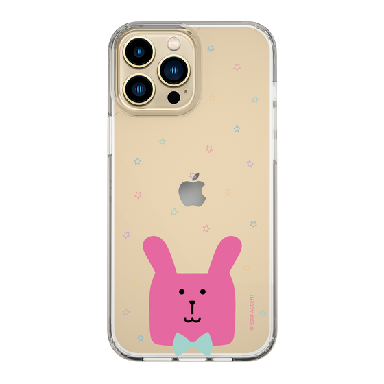 スリムプロテクションケース［ CRAFTHOLIC - Face - RAB ］