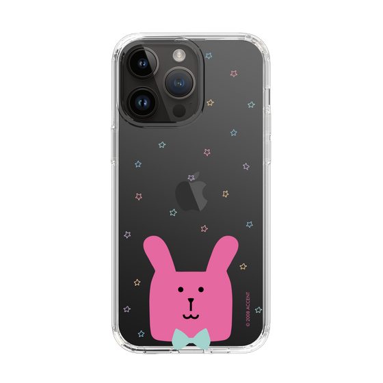 スリムプロテクションケース［ CRAFTHOLIC - Face - RAB ］
