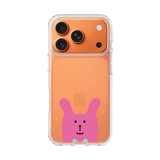 スリムプロテクションケース［ CRAFTHOLIC - Face - RAB ］