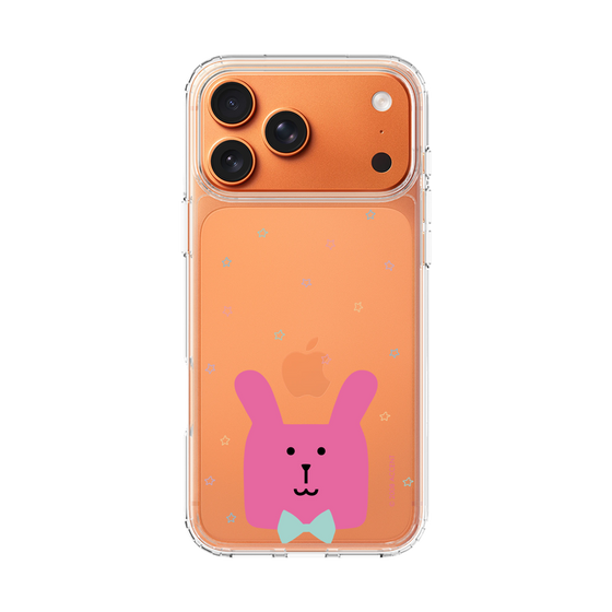 スリムプロテクションケース［ CRAFTHOLIC - Face - RAB ］