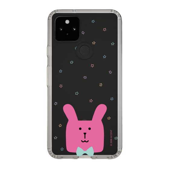 スリムプロテクションケース［ CRAFTHOLIC - Face - RAB ］