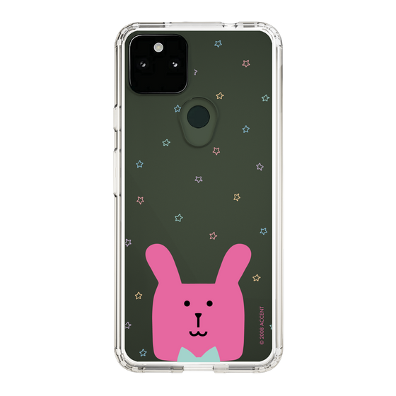 スリムプロテクションケース［ CRAFTHOLIC - Face - RAB ］