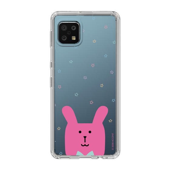 スリムプロテクションケース［ CRAFTHOLIC - Face - RAB ］
