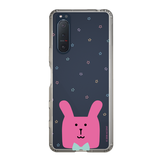 スリムプロテクションケース［ CRAFTHOLIC - Face - RAB ］