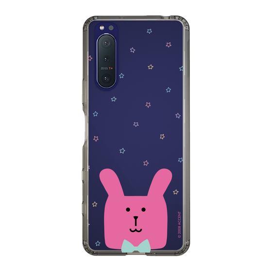 スリムプロテクションケース［ CRAFTHOLIC - Face - RAB ］
