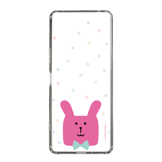 スリムプロテクションケース［ CRAFTHOLIC - Face - RAB ］