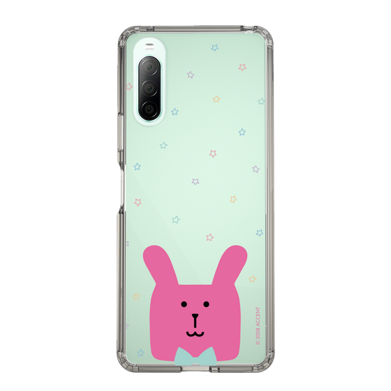 スリムプロテクションケース［ CRAFTHOLIC - Face - RAB ］