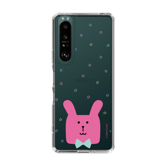 スリムプロテクションケース［ CRAFTHOLIC - Face - RAB ］