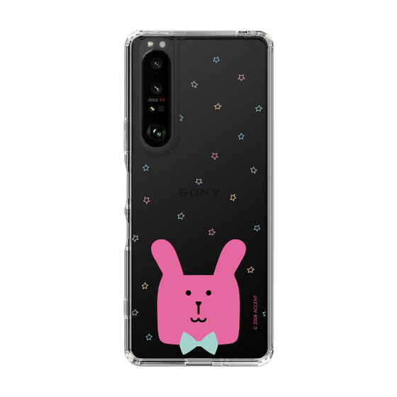 スリムプロテクションケース［ CRAFTHOLIC - Face - RAB ］