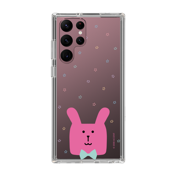 スリムプロテクションケース［ CRAFTHOLIC - Face - RAB ］