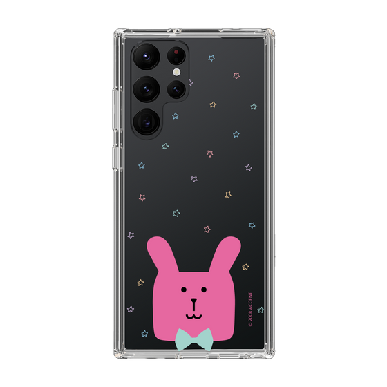 スリムプロテクションケース［ CRAFTHOLIC - Face - RAB ］