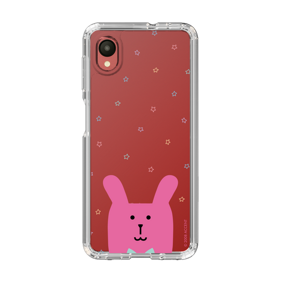 スリムプロテクションケース［ CRAFTHOLIC - Face - RAB ］