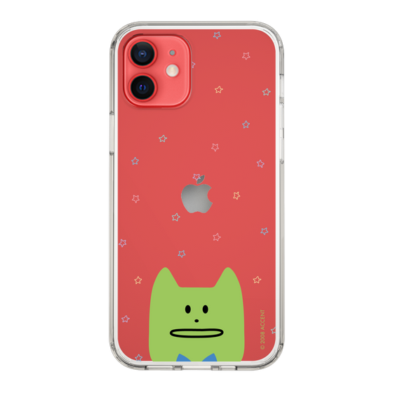 スリムプロテクションケース［ CRAFTHOLIC - Face - KORAT ］