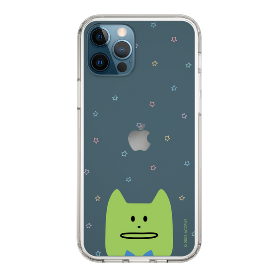 スリムプロテクションケース［ CRAFTHOLIC - Face - KORAT ］