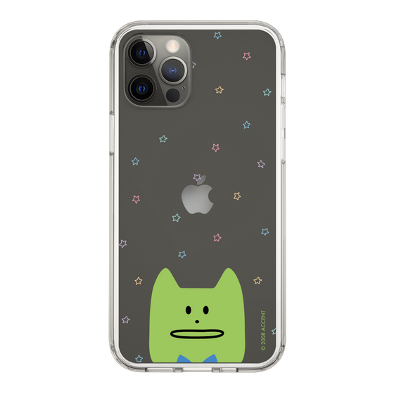 スリムプロテクションケース［ CRAFTHOLIC - Face - KORAT ］