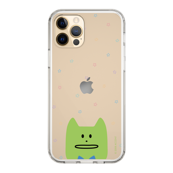 スリムプロテクションケース［ CRAFTHOLIC - Face - KORAT ］