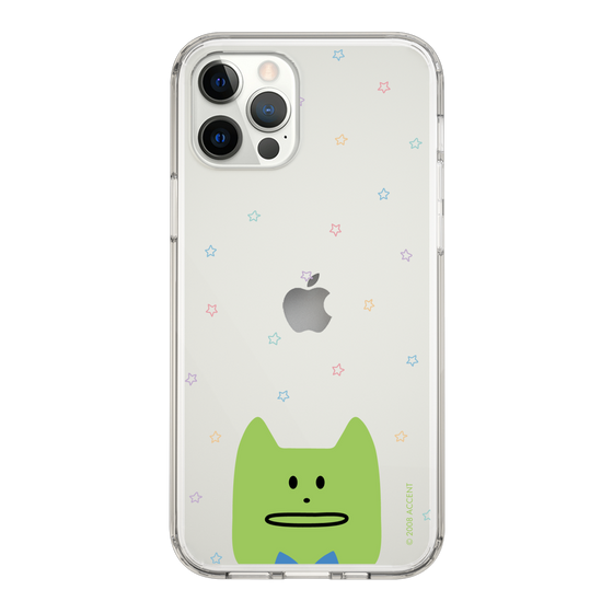 スリムプロテクションケース［ CRAFTHOLIC - Face - KORAT ］