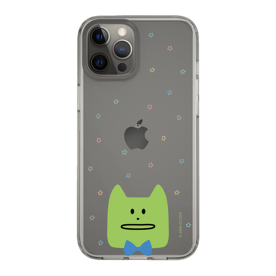 スリムプロテクションケース［ CRAFTHOLIC - Face - KORAT ］