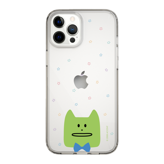 スリムプロテクションケース［ CRAFTHOLIC - Face - KORAT ］