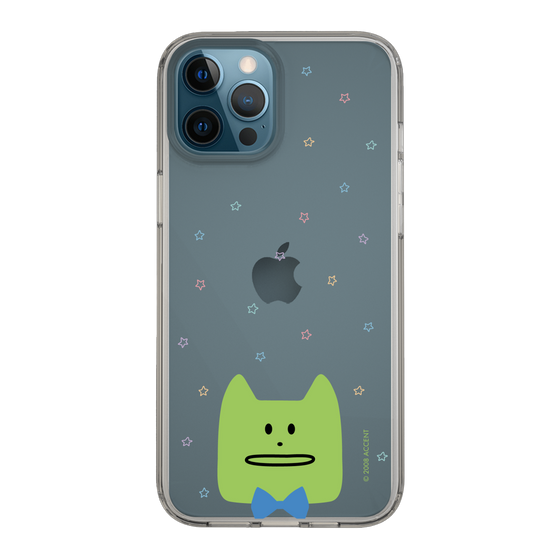 スリムプロテクションケース［ CRAFTHOLIC - Face - KORAT ］