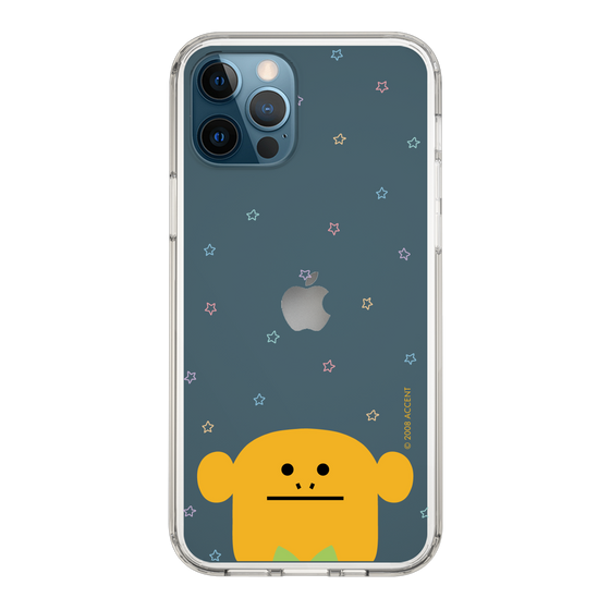スリムプロテクションケース［ CRAFTHOLIC - Face - LORIS ］