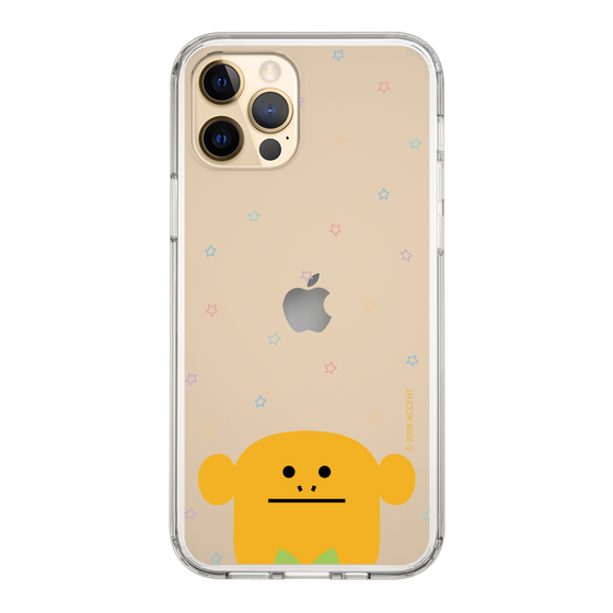 スリムプロテクションケース［ CRAFTHOLIC - Face - LORIS ］
