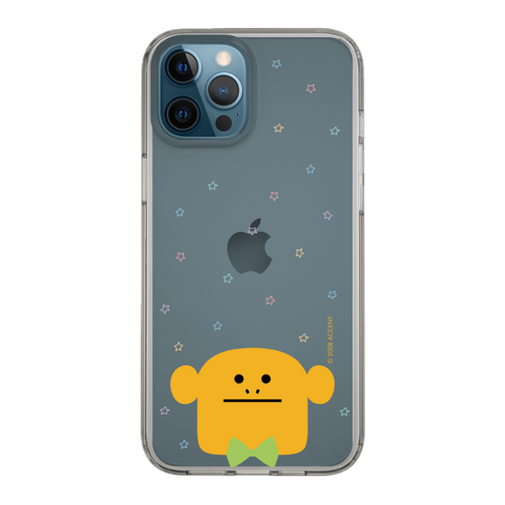 スリムプロテクションケース［ CRAFTHOLIC - Face - LORIS ］