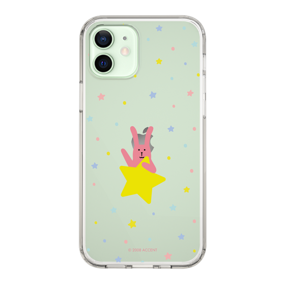 スリムプロテクションケース［ CRAFTHOLIC - Star - RAB ］