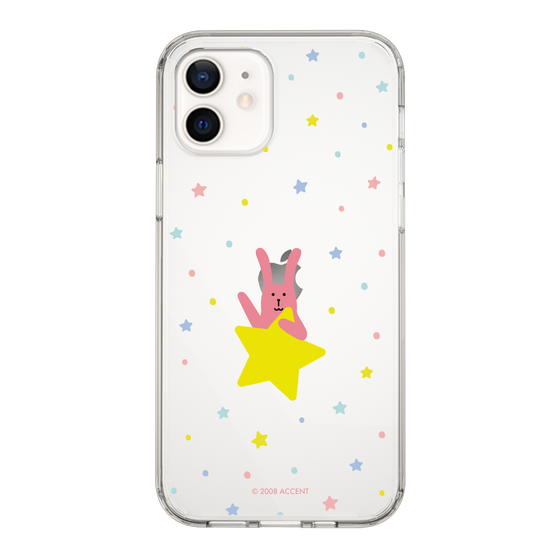 スリムプロテクションケース［ CRAFTHOLIC - Star - RAB ］