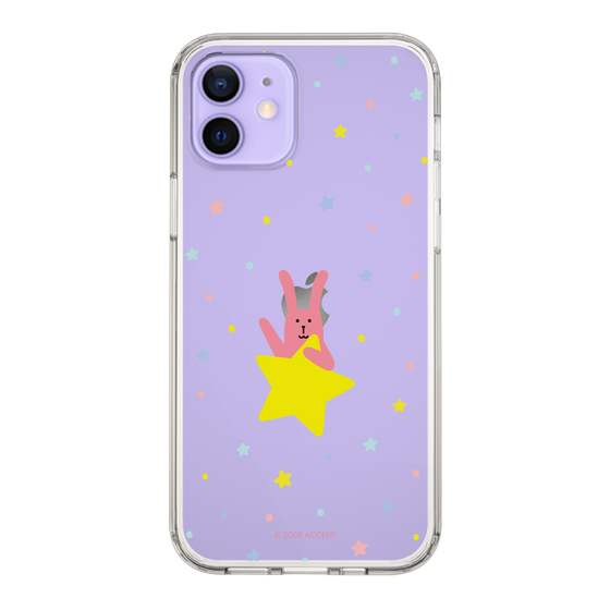 スリムプロテクションケース［ CRAFTHOLIC - Star - RAB ］