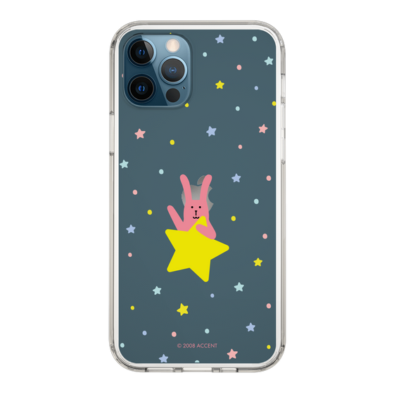 スリムプロテクションケース［ CRAFTHOLIC - Star - RAB ］