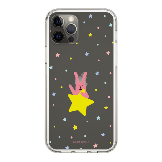 スリムプロテクションケース［ CRAFTHOLIC - Star - RAB ］