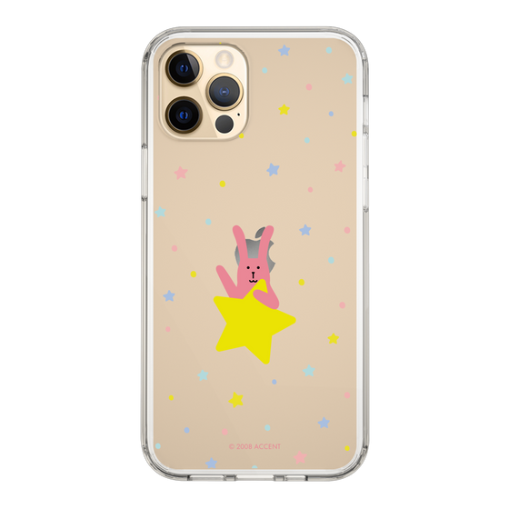 スリムプロテクションケース［ CRAFTHOLIC - Star - RAB ］